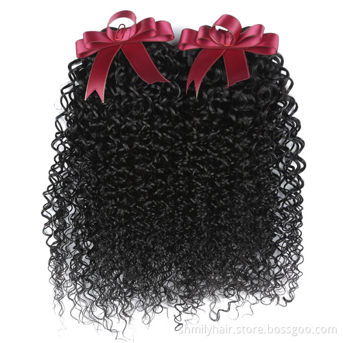 Human Hair Supplier Curly Wave Hair Wig Indian Human Hair Extension Double Drawn Weft